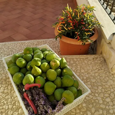 Cominium Benessere Farm stay *