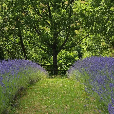 Farm stay Cominium Benessere *