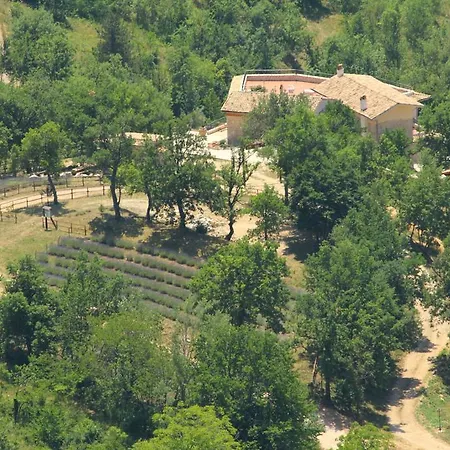 Cominium Benessere *