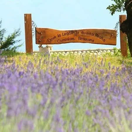 Agroturismo Cominium Benessere *