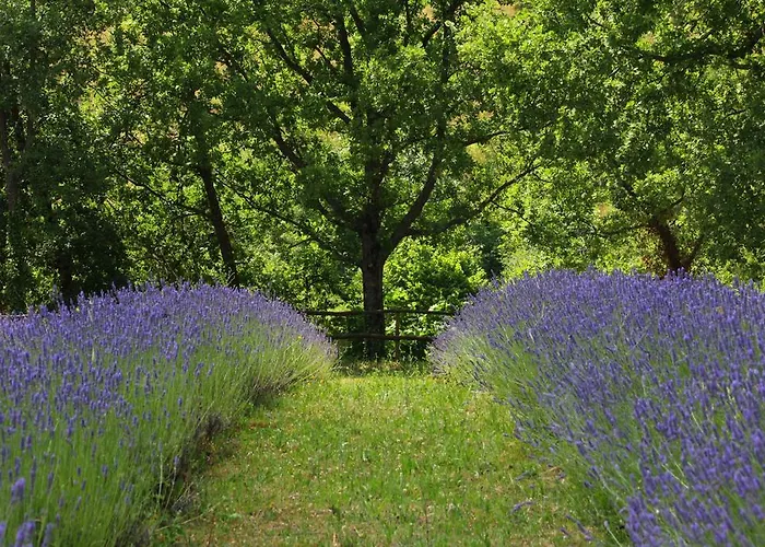 Farm stay Cominium Benessere *