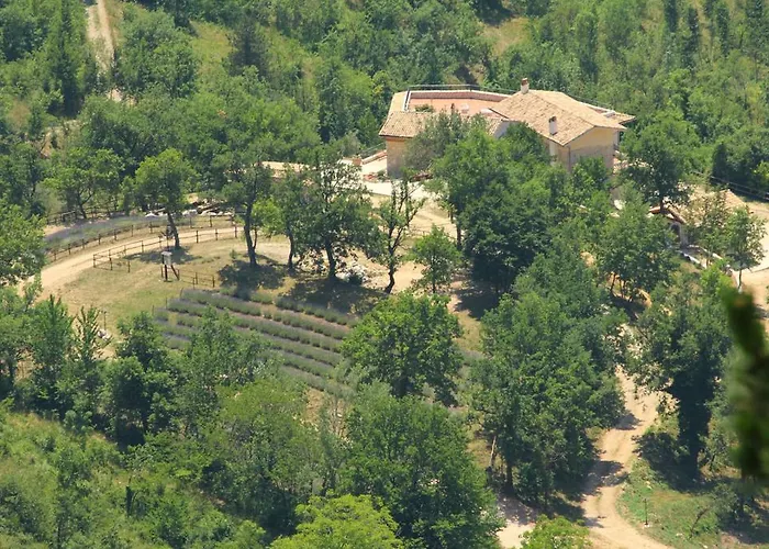 Cominium Benessere *